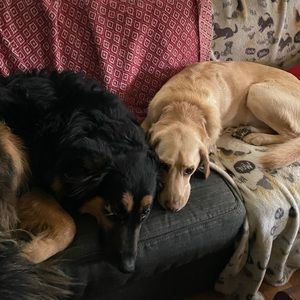 Meet your Posher, Austin